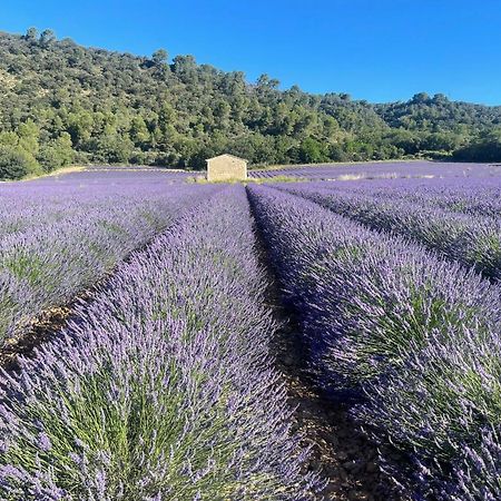 Апартаменты Coeur De Provence Греу-ле-Бэн Экстерьер фото